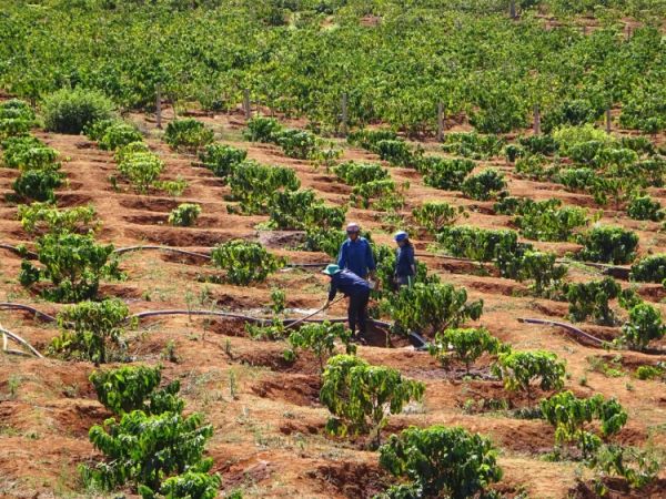 Dự án VnSAT đang phát huy hiệu quả tại Tây Nguyên