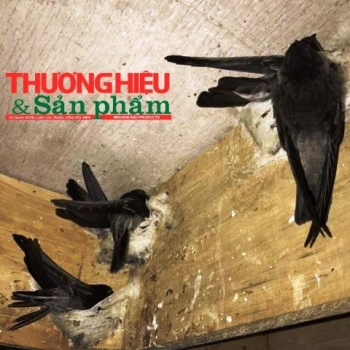 Hậu Lộc (Thanh Hóa): Thu tiền tỷ nhờ 