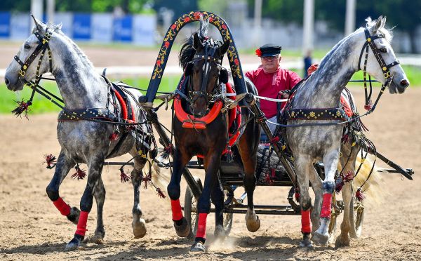 Liên hợp quốc ước tính ngành du lịch thế giới đã thiệt hại 320 tỷ USD do COVID-19