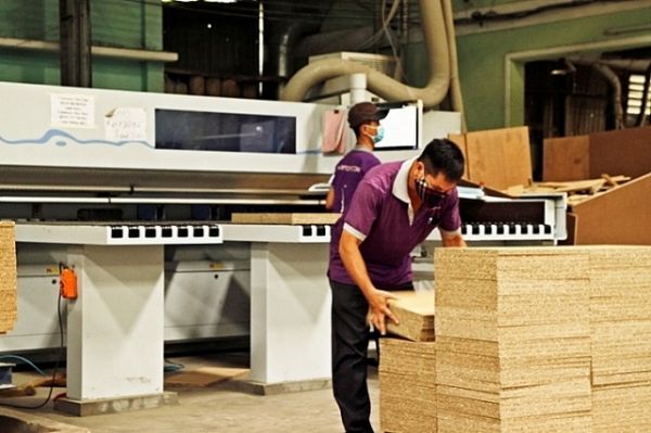 Khai thác gỗ cầm chừng do nhà máy giảm thu mua nguyên liệu