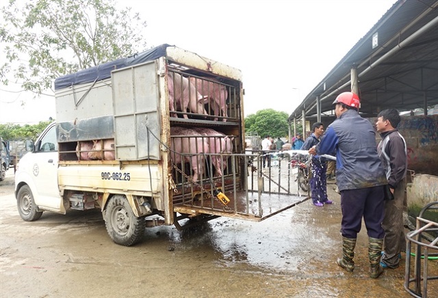 gi&aacute; thịt h&ocirc;m nay 30/7