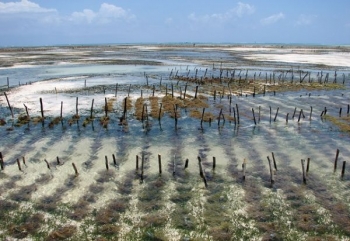 Sản lượng nuôi trồng thủy sản tăng nhẹ