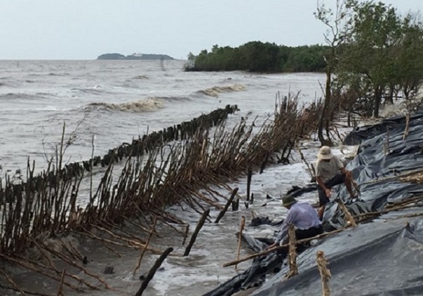 Tỉnh C&agrave; Mau ưu ti&ecirc;n thực hiện c&aacute;c giải ph&aacute;p x&acirc;y k&egrave;, đ&ecirc; bảo vệ đời sống, v&ugrave;ng sản xuất n&ocirc;ng nghiệp...