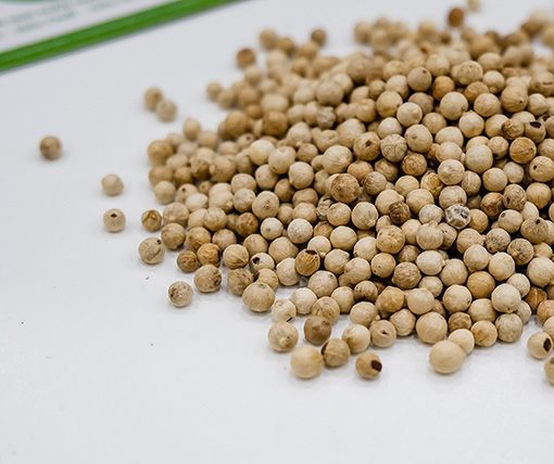 Giá hồ tiêu hôm nay 31/7: Tiếp tục trầm lắng