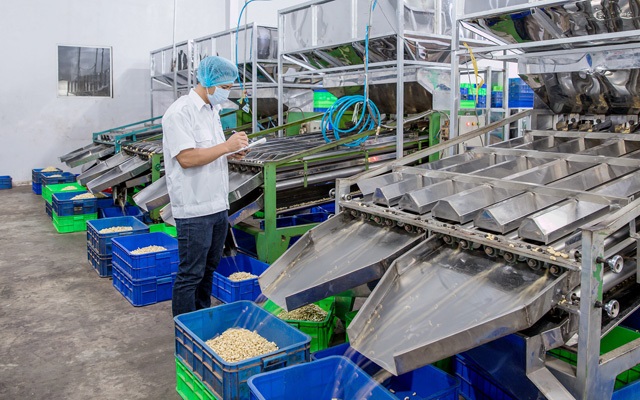 nguồn cung hạt điều th&ocirc; năm 2020 dự kiến sẽ thấp hơn so với năm 2019