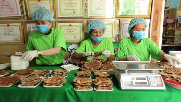 Đồng Tháp: Cấp giấy chứng nhận cho 4 sản phẩm công nghiệp nông thôn tiêu biểu