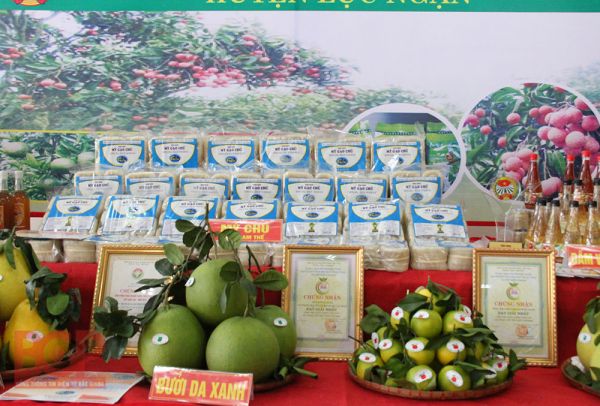 Nâng tầm sản phẩm OCOP: Bắc Giang hỗ trợ chủ thể hoàn thiện sản phẩm