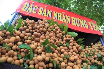 Kết nối cung cầu tiêu thụ nhãn và nông sản tỉnh Hưng Yên