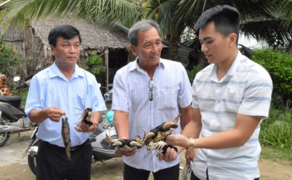 Nuôi tôm – cua kết hợp đạt hiệu quả cao, thúc đẩy sản xuất