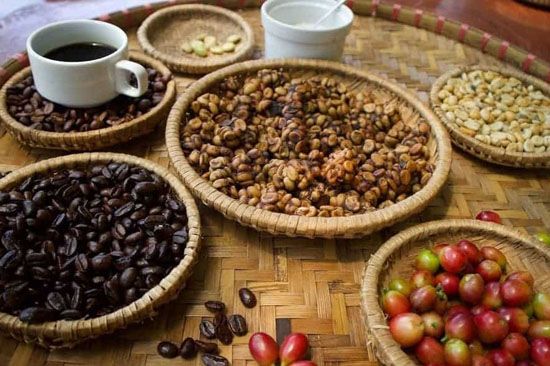 Giá cà phê hôm nay 4/8: Tăng thuận chiều thế giới