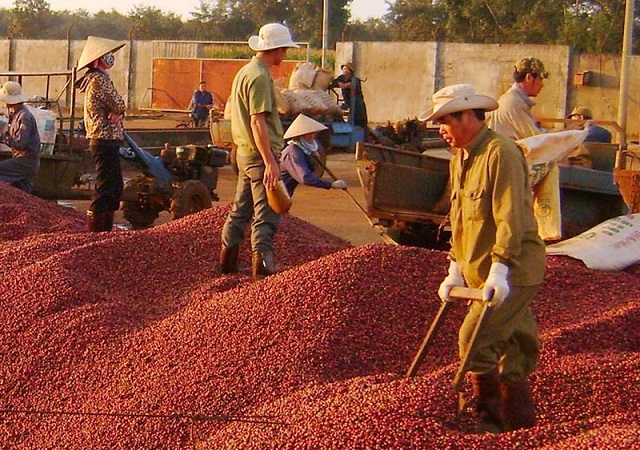 gi&aacute; v&agrave;ng