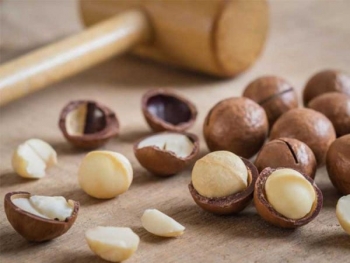 Mắc ca Việt Nam rộng đường phát triển