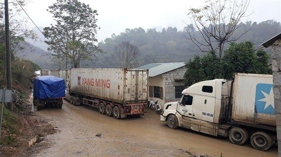 Dần xóa bỏ hình thức xuất khẩu tiểu ngạch