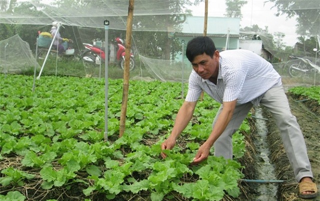 TP HCM hỗ trợ tháo gỡ khó khăn đối với khu vực kinh tế tập thể, hợp tác xã do ảnh hưởng của dịch bệnh Covid-19.