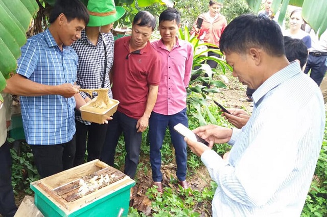 Học vi&ecirc;n thực h&agrave;nh kỹ thuật cho ong ăn bổ sung