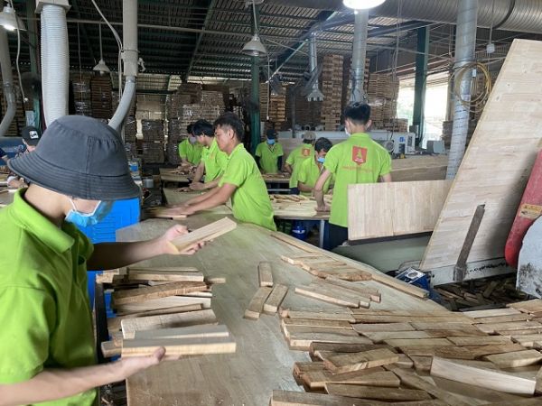 Tạm thời cho doanh nghiệp xuất khẩu gỗ cao su dạng tấm vẫn áp mức thuế 0%