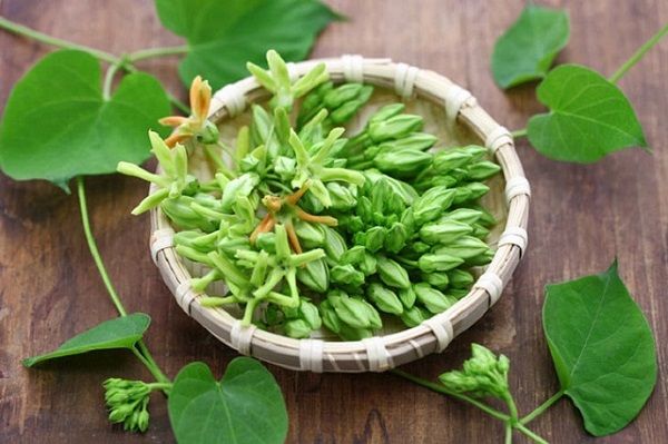 Thuốc Đông y: Hoa thiên lý - vị thuốc quý từ thiên nhiên