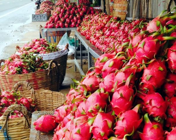 Lợi thế cạnh tranh từ trái cây đặc sản