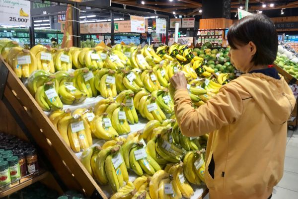 Việt Nam – Bulgaria thúc đẩy giao thương hàng tiêu dùng