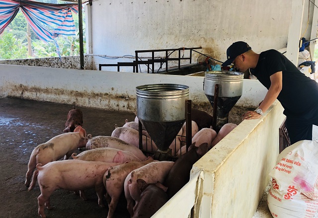 gi&aacute; thịt h&ocirc;m nay 8/9