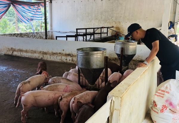 Giá thịt hôm nay 9/8: Dao động trong khoảng từ 81.000 - 91.000 đồng/kg