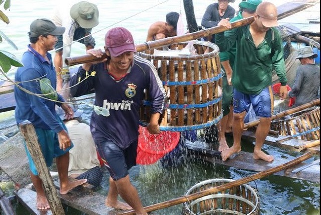 Tăng cường nuôi thủy sản ở ĐBSCL từ nay đến năm 2030 nhằm phục vụ tiêu thụ nội địa và xuất khẩu, tăng thu nhập cho nông dân