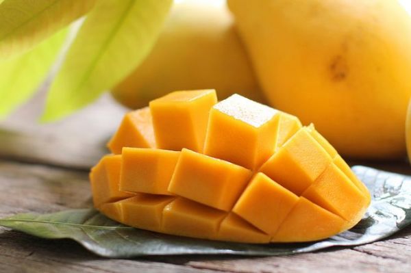 Đồng Tháp trồng xoài rải vụ bán giá cao