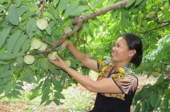 Na Chi Lăng làm thay đổi cuộc sống người dân Xứ Lạng