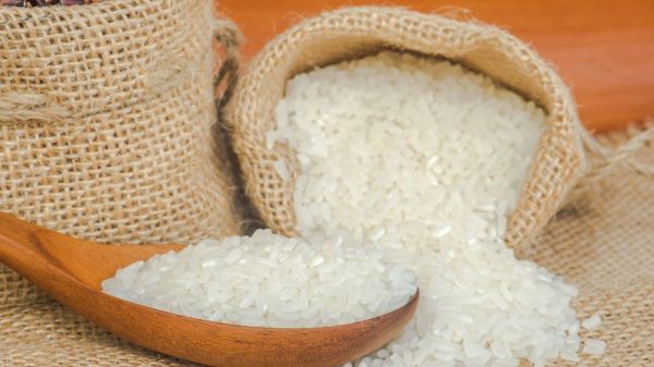 Giá gạo hôm nay 11/8: Phiên chiều ổn định