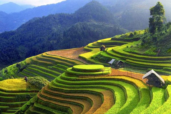 Thương mại miền núi hình thành chuỗi tiêu thụ nông sản bền vững