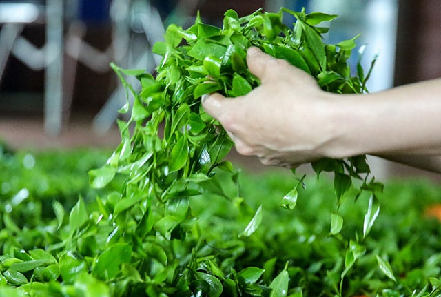 xuất khẩu của Việt Nam kh&oacute; phục hồi trong nửa cuối năm 2020, khi dịch Covid-19 tr&ecirc;n to&agrave;n cầu vẫn tiếp tục diễn biến phức tạp