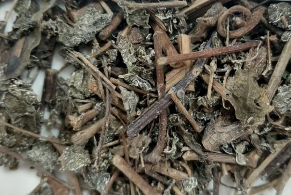 Thuốc Đông y: Những bài thuốc hỗ trợ điều trị bệnh từ chè dây