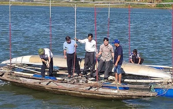 Quảng Bình: Phát triển vùng nuôi hàu thương phẩm tại huyện Quảng Ninh