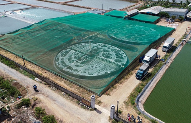 Bạc Li&ecirc;u - v&ugrave;ng nu&ocirc;i t&ocirc;m lớn của Đồng bằng s&ocirc;ng Cửu Long