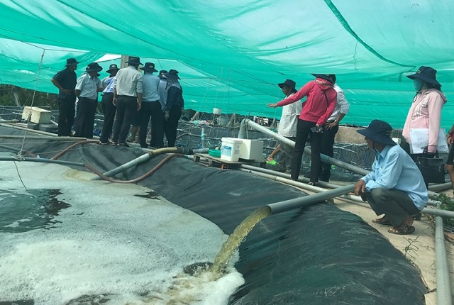 Tập huấn ToT kỹ thuật nu&ocirc;i t&ocirc;m thẻ si&ecirc;u th&acirc;m canh tại Bạc Li&ecirc;u