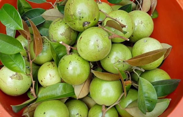 Nâng cao giá trị hàng hóa đi đôi với xúc tiến thương mại cho sản phẩm