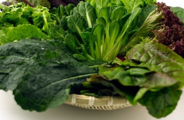 Sức khỏe: Liệt kê những thực phẩm giàu canxi cho bé