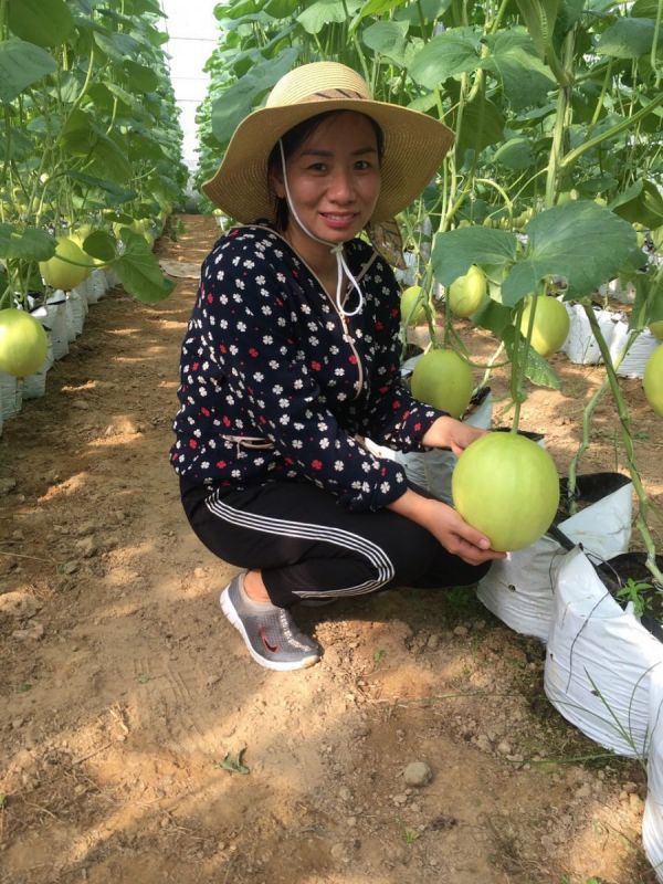 Xây dựng mô hình điểm cho nông nghiệp hữu cơ