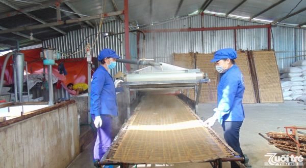 Xuất lô miến dong Bắc Kạn đầu tiên sang châu Âu