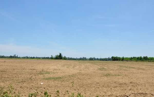 Giảm 15% tiền thuê đất cho các đối tượng bị ảnh hưởng bởi dịch Covid-19