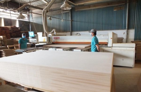 Chính thức áp thuế 0% đối với gỗ cao su xuất khẩu dạng tấm Chính thức áp thuế 0% đối với gỗ cao su xuất khẩu dạng tấm