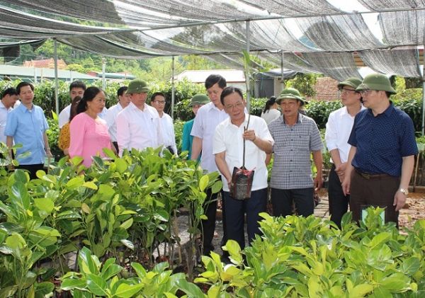 Sơn La: Tập trung đẩy mạnh khai thác các thế mạnh của địa phương