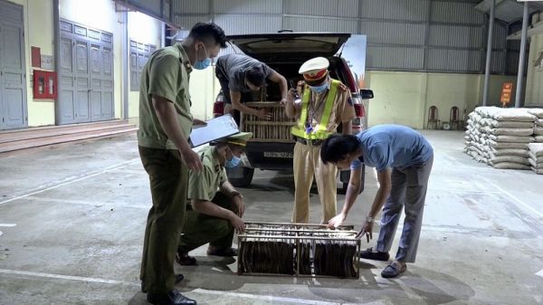 Chặn bắt lượng lớn trứng côn trùng có in chữ Trung Quốc Chặn bắt lượng lớn trứng côn trùng có in chữ Trung Quốc