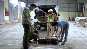 Chặn bắt lượng lớn trứng côn trùng có in chữ Trung Quốc