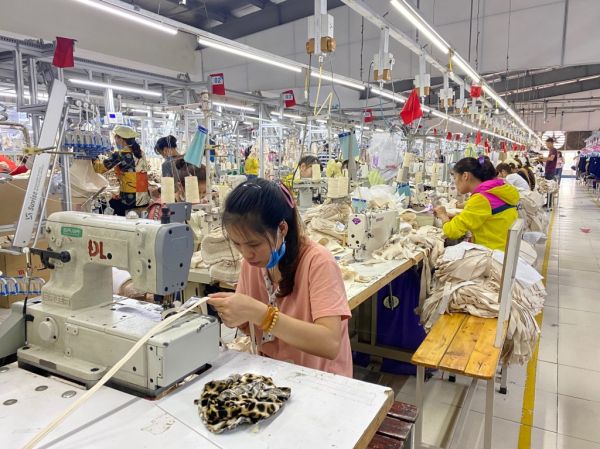 Nghệ An giãn thuế cho hàng nghìn doanh nghiệp vì Covid-19 Nghệ An giãn thuế cho hàng nghìn doanh nghiệp vì Covid-19