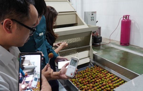 7 tháng đầu năm 2020: Việt Nam xuất khẩu sang Nhật Bản hơn 1,5 tỷ USD