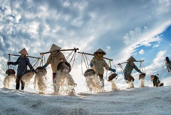 Bạc Liêu: Đẩy mạnh các chuỗi sản xuất - tiêu thụ hàng hóa