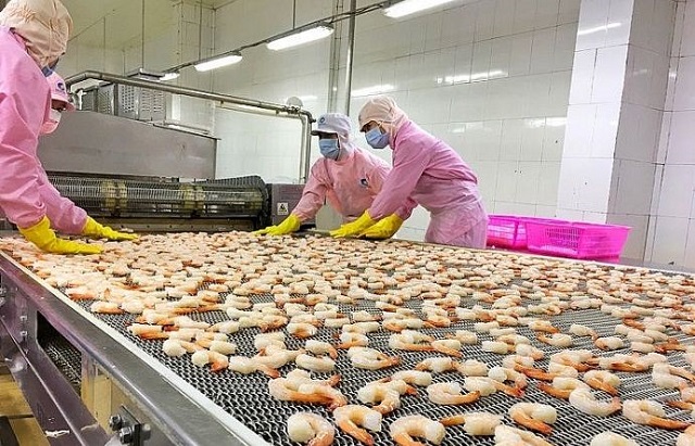 Dự kiến xuất khẩu tôm sang Hàn Quốc quí III vẫn khả quan