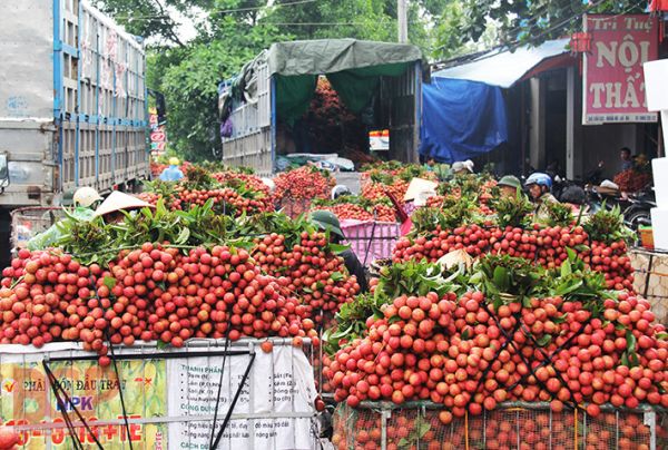 Gỡ khó cho trái cây Việt Nam sang Mỹ Gỡ khó cho trái cây Việt Nam sang Mỹ