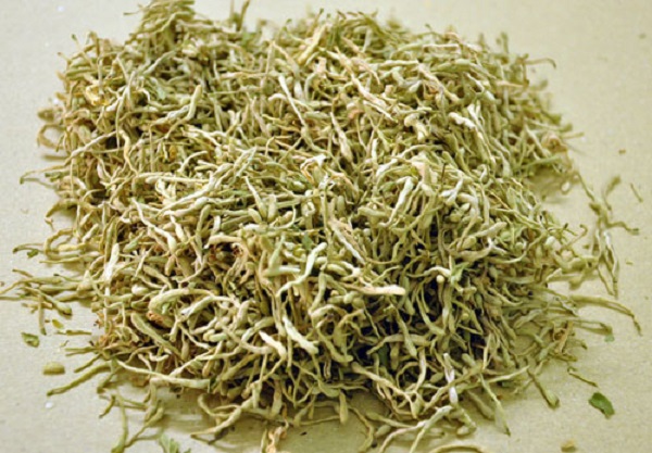 Kim ng&acirc;n hoa sau khi phơi kh&ocirc;